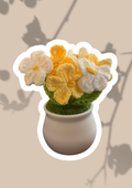 Bloom & Breathe Kit | Peaceful Primrose